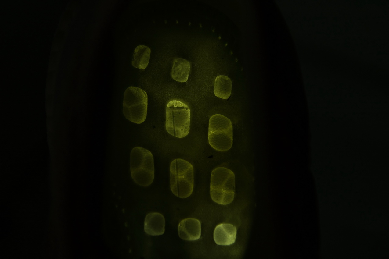 Adidas UltraBoost 4.0 'Triple White' BB6168 - Premium Performance Footwear Adidas UltraBoost 4.0 'Triple White' BB6168 - Premium Performance Footwear